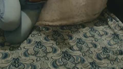 originalcali95 online show from 02/03/26, 04:32