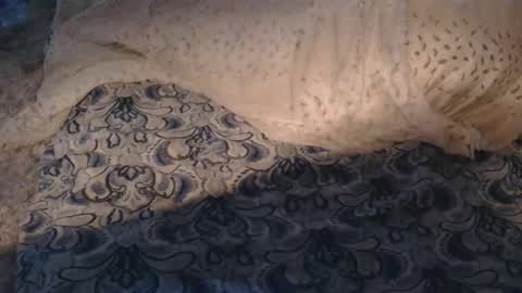 originalcali95 online show from 03/01/26, 12:23