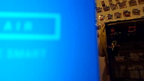 orlandovilla48 online show from 11/18/25, 12:31