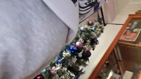 orlandovilla48 online show from 12/05/25, 12:36