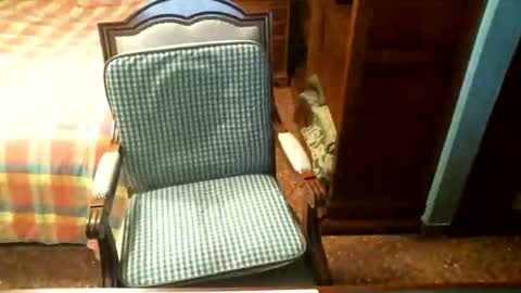 Oscar online show from 04/28/26, 03:39