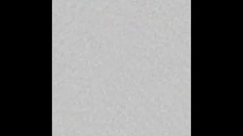 Oso Licencioso online show from 11/25/25, 03:06