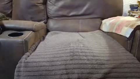 outdoorsmanmark71 online show from 09/10/25, 09:59