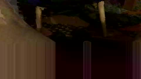 Oxo online show from 10/31/25, 08:54