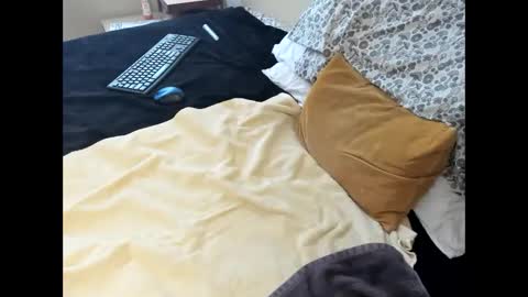 p guin12345 online show from 02/22/26, 04:05