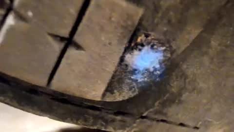 Pablo Meness online show from 12/05/25, 08:49