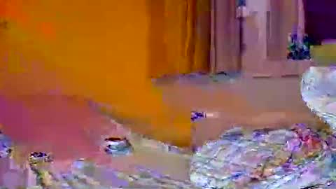 Snapshot of pachoxx9 chatting on 02/01/25, 10:44 Pachoxx9 online show from 02/01/25, 10:44