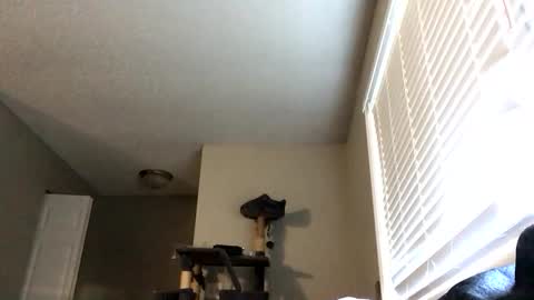 Snapshot of paigechantel chatting on 02/19/26, 11:45 paigechantel online show from 02/19/26, 11:45