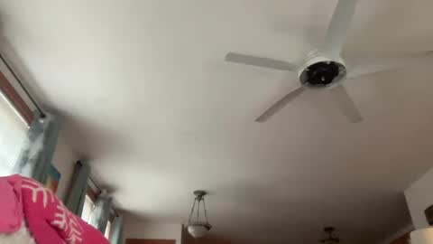 Snapshot of paisleysnowxo chatting on 10/29/25, 05:36 paisleysnowxo online show from 10/29/25, 05:36