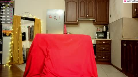 Snapshot of palach2323 chatting on 01/29/25, 01:48 Katrin Vebber online show from 01/29/25, 01:48