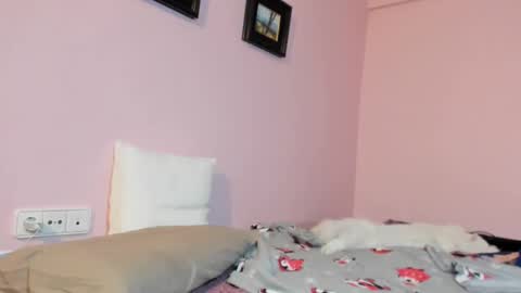 Merce   online show from 01/17/25, 08:24