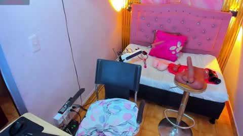 PALOMA 3 online show from 04/01/26, 11:33