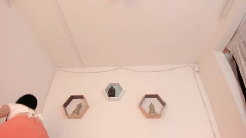 Snapshot of paloma_victory chatting on 01/21/25, 08:32 Paloma online show from 01/21/25, 08:32