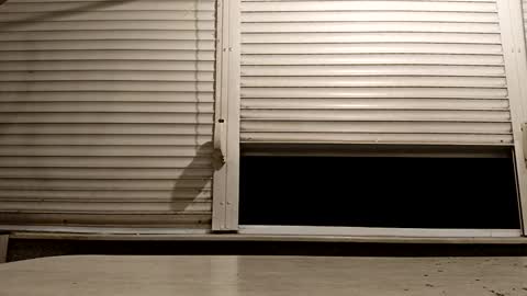 angel hris online show from 11/24/25, 06:18