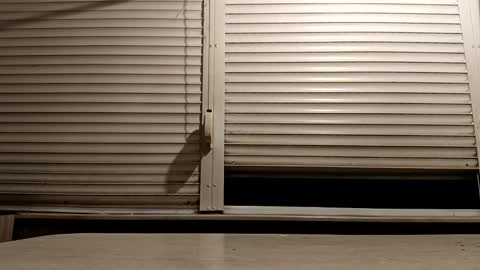 angel hris online show from 12/03/25, 05:11