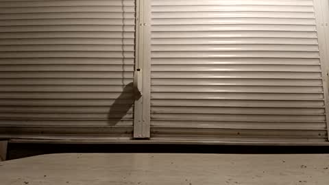 angel hris online show from 02/06/26, 04:54