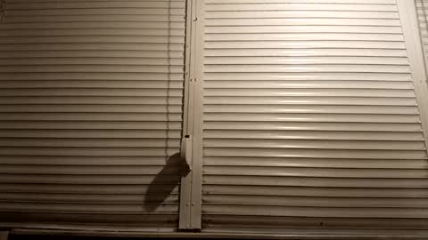 angel hris online show from 03/05/26, 07:10