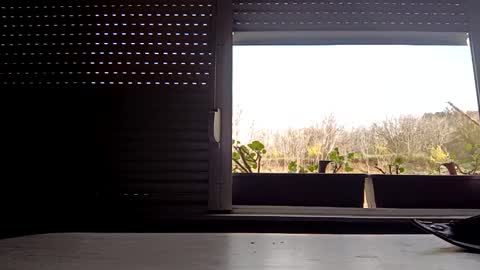 angel hris online show from 04/14/26, 03:18