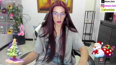 Snapshot of pammelaclark chatting on 11/06/25, 02:34 pammela clark online show from 11/06/25, 02:34