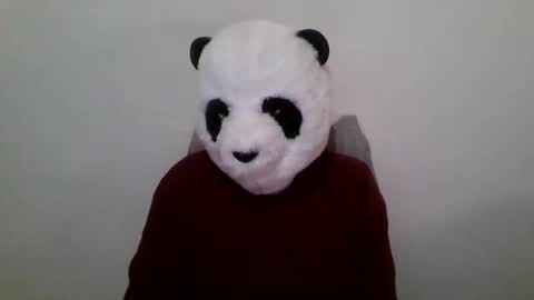 Panda online show from 01/23/25, 12:52