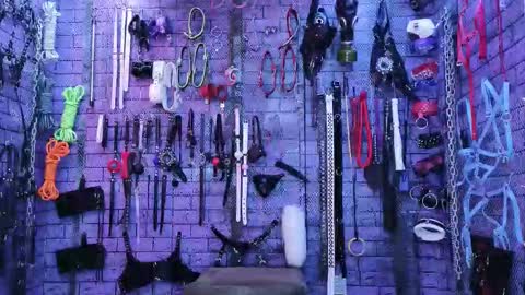 PandoraNez online show from 02/12/26, 03:34