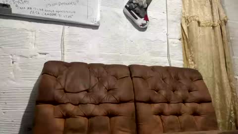 Snapshot of panthers_room chatting on 12/19/24, 10:56 panthers_room online show from 12/19/24, 10:56