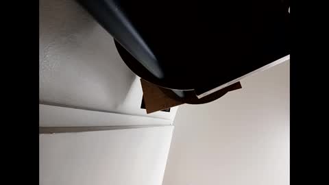 pantieplaytime52532 online show from 03/22/26, 07:56