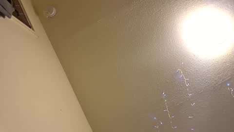 Snapshot of papijose146388 chatting on 01/13/26, 02:00 Papij online show from 01/13/26, 02:00