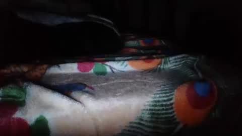 Snapshot of papimexicano703 chatting on 11/20/25, 06:46 papi mexicano en boxers online show from 11/20/25, 06:46