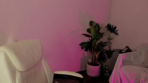    online show from 04/07/26, 02:01