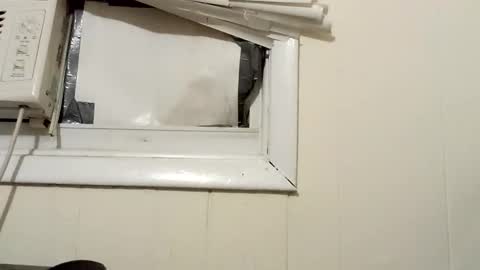 Snapshot of pato0008 chatting on 12/18/24, 02:32 JD online show from 12/18/24, 02:32