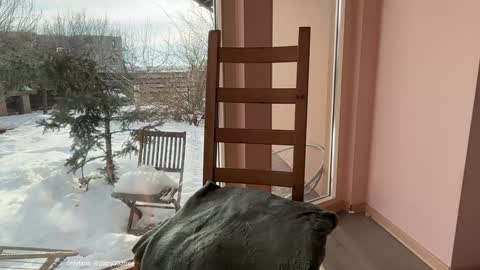 Andreea online show from 02/20/26, 06:37