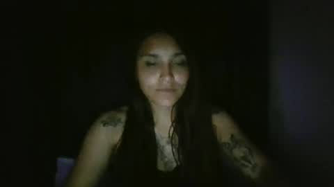 Snapshot of pau_cat chatting on 04/11/26, 05:12 Pau online show from 04/11/26, 05:12