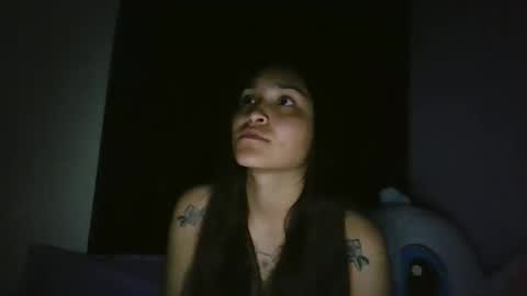 Snapshot of pau_cat chatting on 04/20/26, 05:43 Pau online show from 04/20/26, 05:43