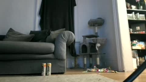 shy online show from 04/12/26, 07:46