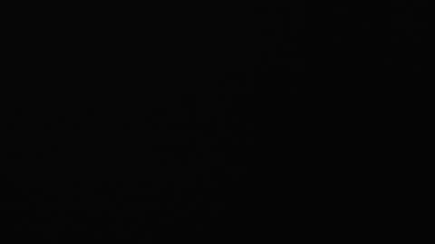 paula online show from 02/08/25, 09:03