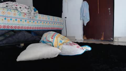 Snapshot of paula_torrez chatting on 09/17/25, 02:08 paula_torrez online show from 09/17/25, 02:08
