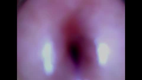 Paula 18 Aninhos online show from 02/03/25, 06:07