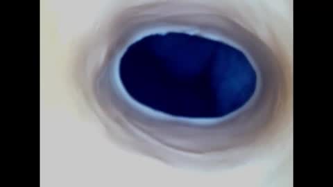 Paula 18 Aninhos online show from 03/02/25, 02:19