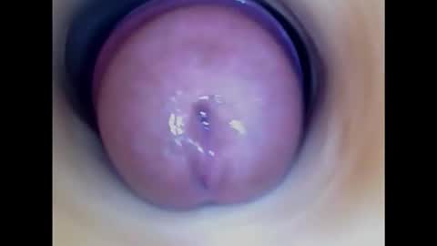 Paula 18 Aninhos online show from 10/14/25, 06:20