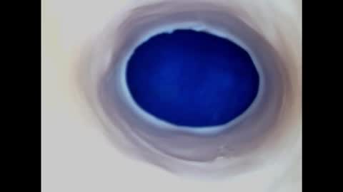 Paula 18 Aninhos online show from 11/09/25, 07:34