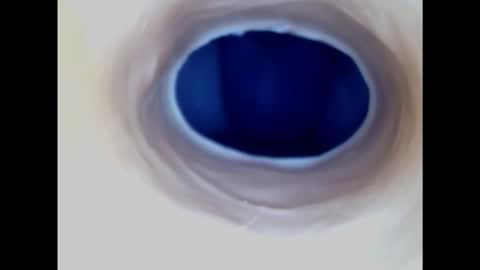 Paula 18 Aninhos online show from 11/17/25, 05:24