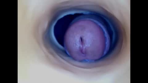 Paula 18 Aninhos online show from 12/14/25, 08:13