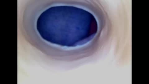 Paula 18 Aninhos online show from 04/29/26, 05:30