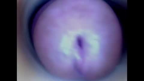 Snapshot of paulainoscente chatting on 06/16/26, 01:30 Paula 18 Aninhos online show from 06/16/26, 01:30