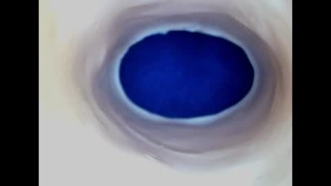 Snapshot of paulainoscente chatting on 06/19/26, 05:06 Paula 18 Aninhos online show from 06/19/26, 05:06