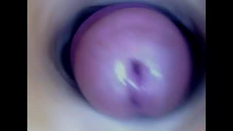 Snapshot of paulainoscente chatting on 07/13/26, 02:03 Paula 18 Aninhos online show from 07/13/26, 02:03