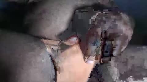 paulcockring online show from 11/23/25, 04:34