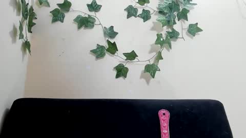 Paulinches online show from 02/09/26, 08:24