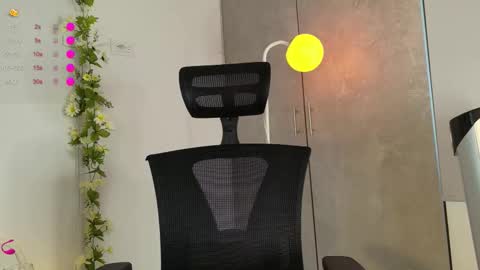 paulirose online show from 02/24/26, 07:56